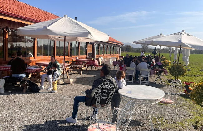 Ayvalık Sural Çiftliği Since 1899 - Foto 38