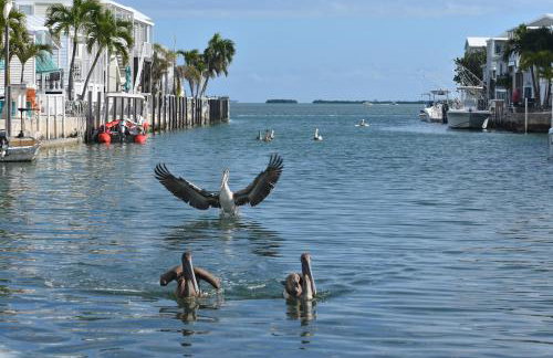 Pelican's Roost, Waterfront comfort at Venture Out - Foto 56