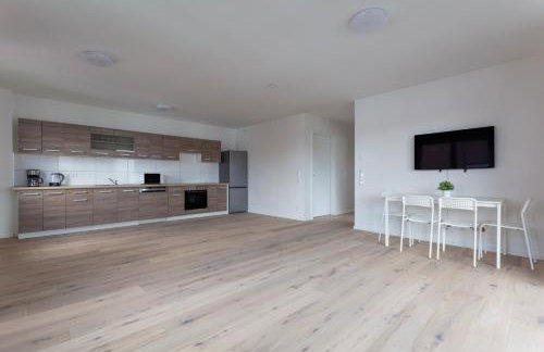 T&K Apartments - BERGISCH GLADBACH - 7 Comfortable Apartments - 20 min to Fair Messe Cologne - Foto 73