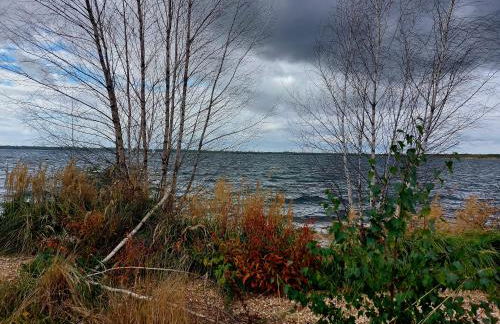 Gemütliche Zwei-Zimmer-Ferienwohnung "W1" in Zwenkau bei Leipzig im Neuseenland - Foto 79