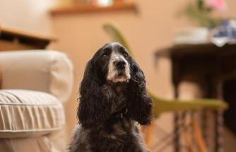 Rosehill Barn -a tranquil rural barn conversion - Foto 18