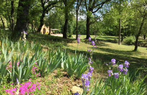 La Berchiera - Foto 14