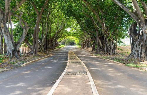 Oceanfront Paradise Room with Pool and Oceanviews - Foto 7