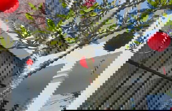 Atlantis Pool Villa Ipoh - Foto 59