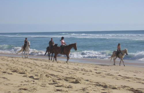 Blue Ocean - Foto 21