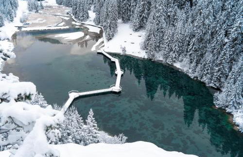 Appartement lumineux avec cuisine équipée à Courchevel - FR-1-613A-45 - Foto 13