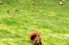 Westbourne by the sea, Benllech, Anglesey. - Foto 35