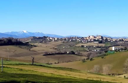 Agriturismo - Apis in tabula - Foto 8