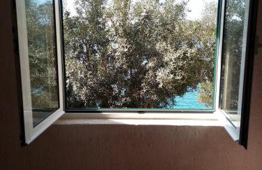 Apartments More - Foto 8