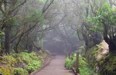 Apt El Perenquen - Foto 30