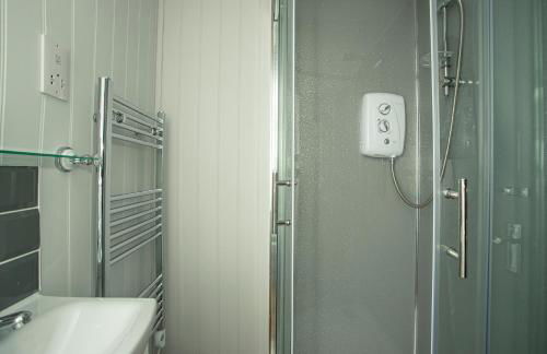 Holly Lodge - Quirky Shepherd's Hut With Hot Tub - Bespoke Made From A Salvaged Railway Carriage - Foto 10