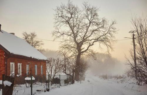 Dębinówka - Foto 38