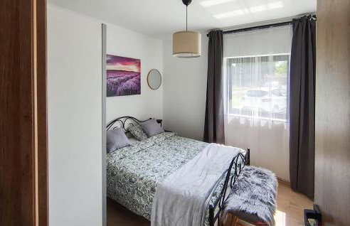 Nice Home In Sveti Ivan Zabno With Sauna - Foto 11