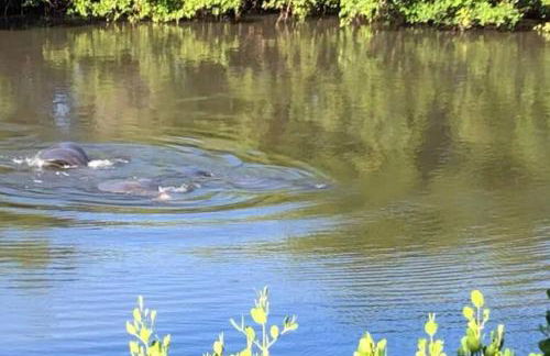 464 Little Harbor - Foto 62