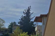 Maria's home - Foto 40