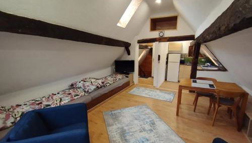 Dachgeschosswohnung in der Altstadt inklusive PKW-Parkplatz - Foto 1