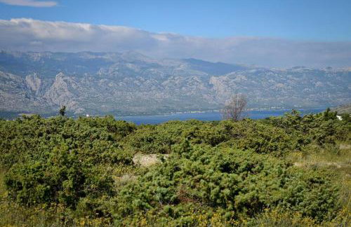 Apartment Olive - Foto 55