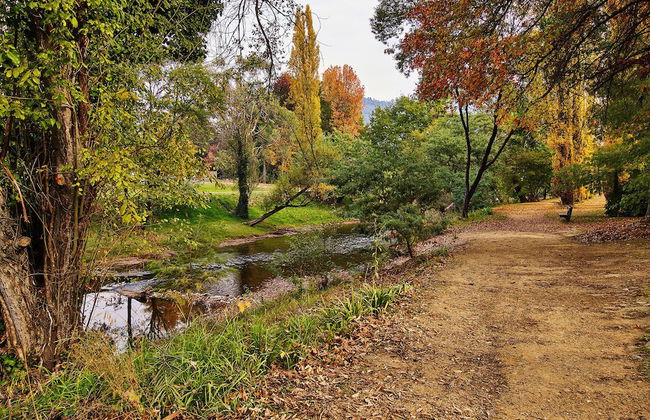 Northbank House - Photo 44