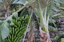 Independent house in rural setting - Foto 5