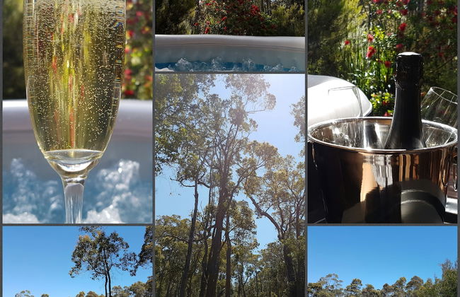Jarrah Grove Forest Retreat - Adults Only - Foto 15