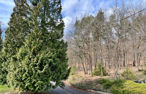 Haus Neugebauer-Gästehaus Garni - Foto 45