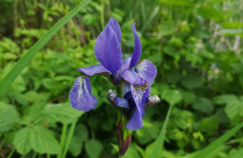 Mazurski Staw - Foto 52