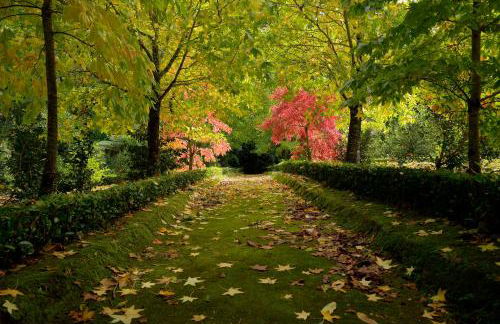 Refúgio no Vale das Furnas - Casa do Sossego - Foto 21