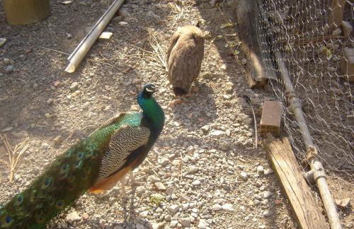 Casa Rural Arratzain - Foto 16