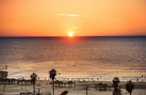 Orange Tree Garden - Foto 16