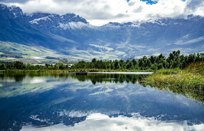 Reflections Guest Farm - Photo 70