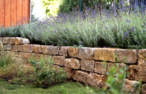 Fewo im sonnigen Kaiserstuhl - Foto 29