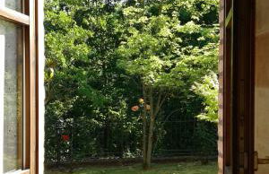 A fine 2 bedroom stone house in Emila - Photo 46