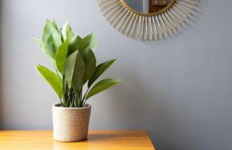 Elegant Fulham & Chelsea 3 Bed House With Roof Terrace & Jacuzzi - Foto 34