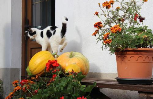 Ferienhaus Christine - Photo 3