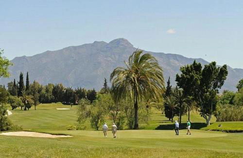 Peaceful of Paradise Costa del Sol - Photo 36