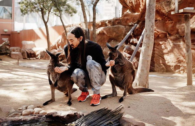 WILD LIFE Sydney Entrance Ticket - Foto 4