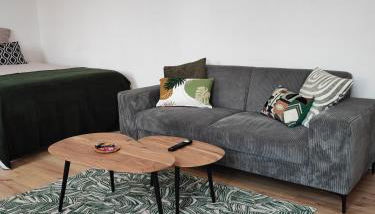 CMG Studio 202 XL Petit Bois Place Ducale - Foto 3