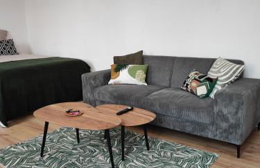 CMG Studio 202 XL Petit Bois Place Ducale - Foto 3