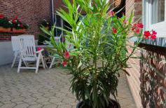 Ferienwohnung Am Gillrather Hof - Foto 7