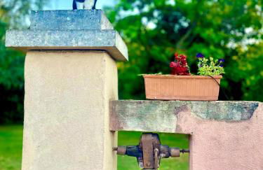 Domaine Plan des Devens - Foto 13