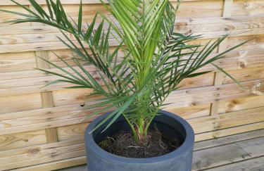 La Caza Cozy - Foto 34