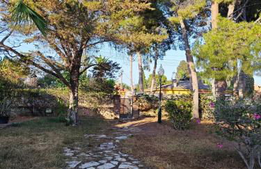 Beautiful home with spacious land in San Vicente - Photo 3