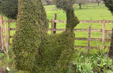 Myrtleberry Studio BnB - Foto 23