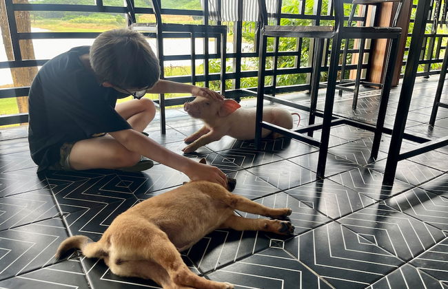 Nguyen Shack Retreat - Foto 46