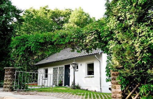 Haus Orbis Noster im Harz - Whirlpool und Sauna - direkt am Wald - Foto 48