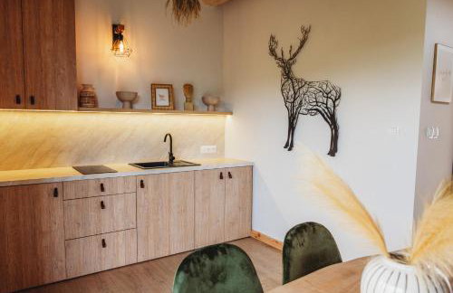 OSADA LEŚNA - domki z basenem - Foto 27