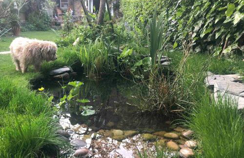 Light & spacious family house, Kensal Rise, London - Foto 15