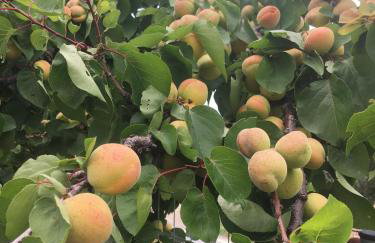 Evilion house inTholo. Sea, nature, relaxation! - Foto 42