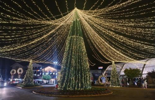 Italian beauty - Foto 37