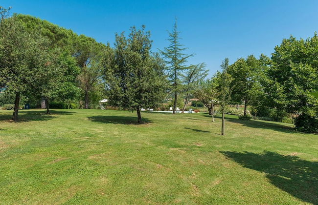 Si-a468-spla0at - Fattoria L Olmo Rosso 14 - Foto 7